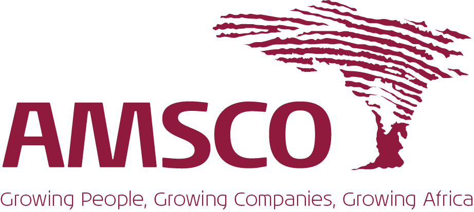 Marketing and Brand Development Manager | Amsco Advisory Services